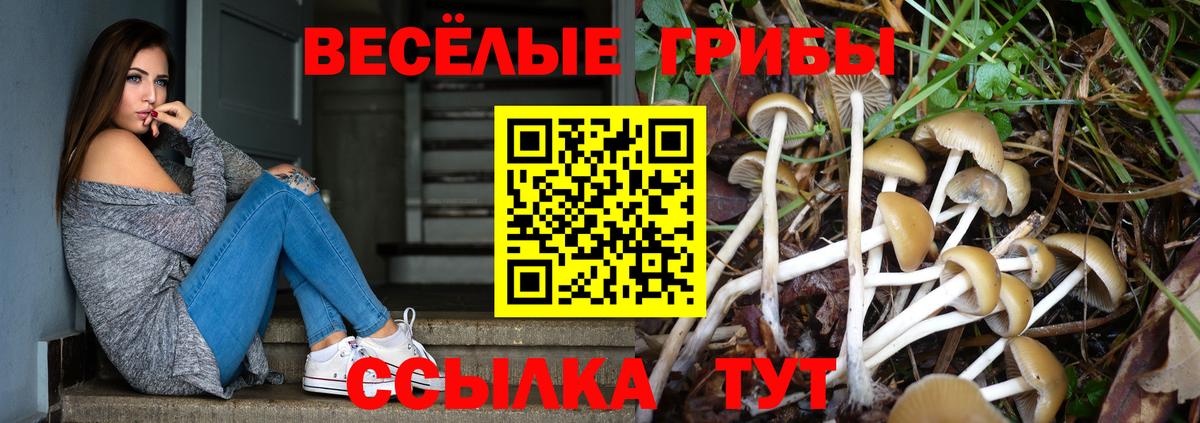 Псилоцибиновые грибы ЛСД Александров