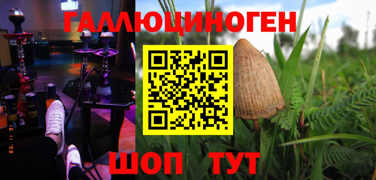 Александров  Псилоцибиновые грибы мицелий  Вход с VPN 